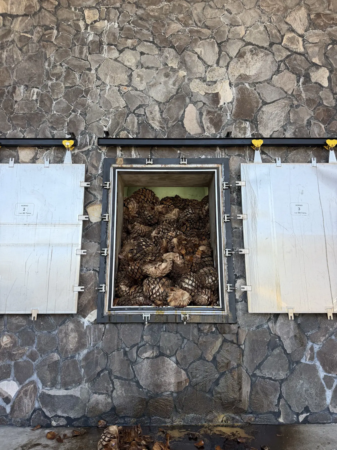 A masonry oven open and loaded with cooked agave piñas